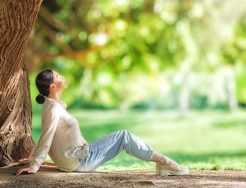 Relax Under a Shady Tree