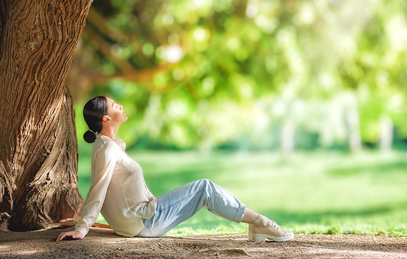 Relax Under a Shady Tree