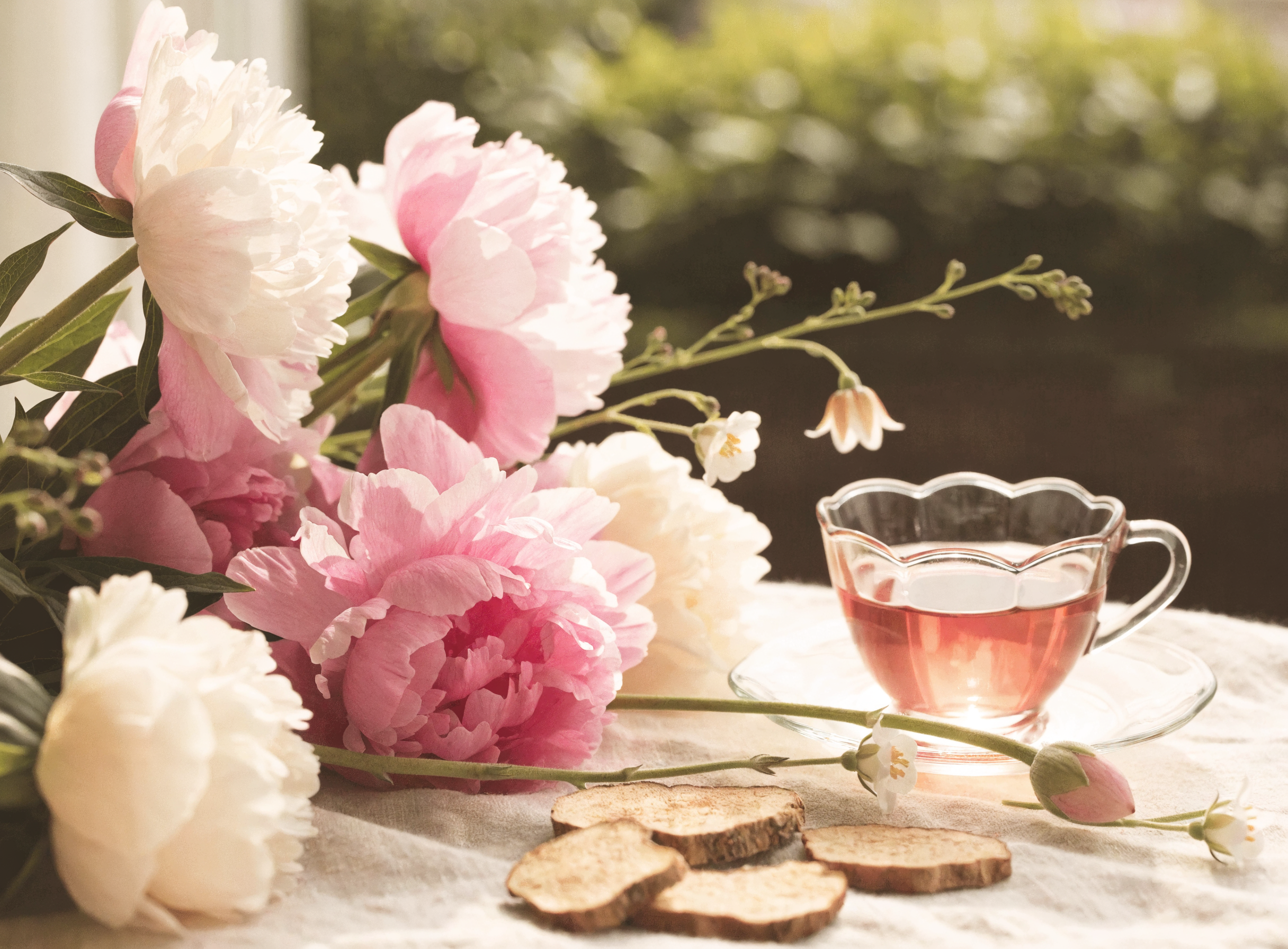 Chinese herbs for women's hormone balance including peony blossoms and dong quai root