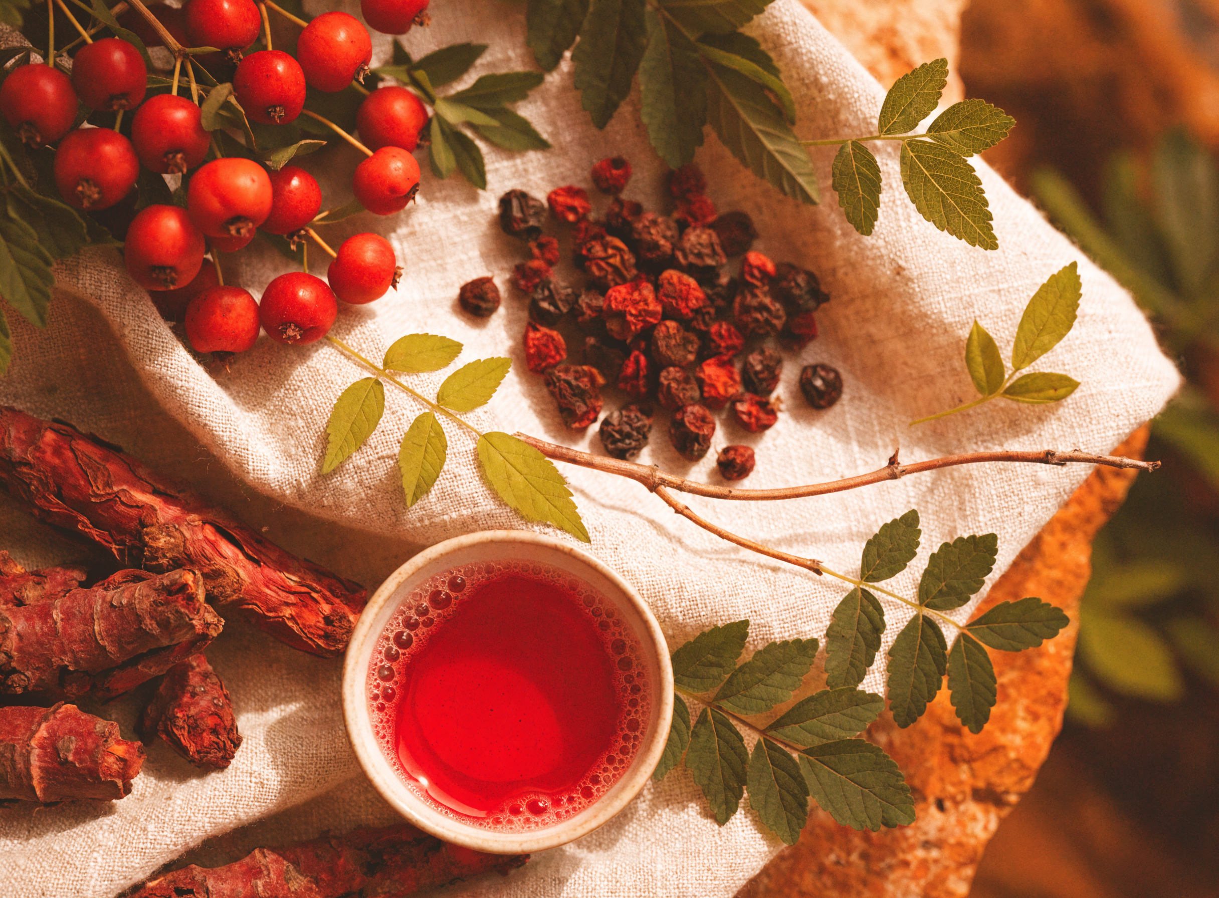 Herbs for heart health including red hawthorn berries and Dan Shen root