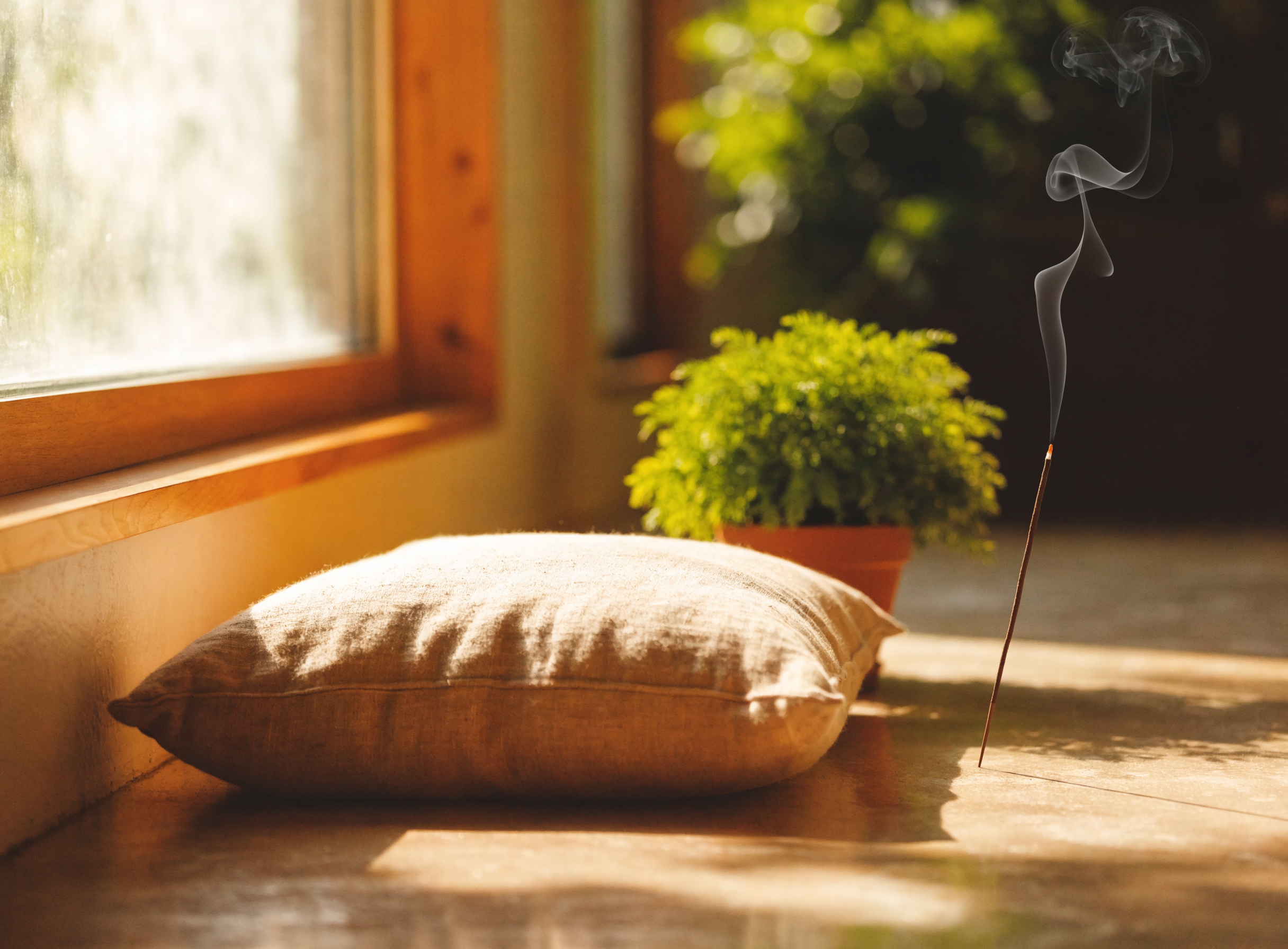 A calm meditation corner with a floor cushion, plant and incense by a bright window